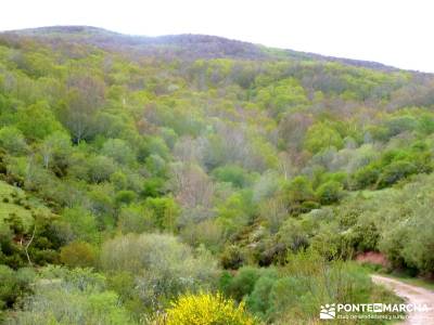 Cañones Ebro, Alto Campoo, Brañosera,Valderredible; viaje naturaleza; excursiones fin de año; via